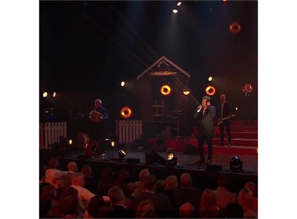 Vintage luminaire 60W MKII 38 cm powerCON TRUE1 