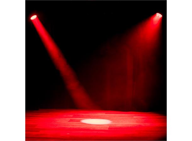 Focus Flex Compact, quick and punchy 