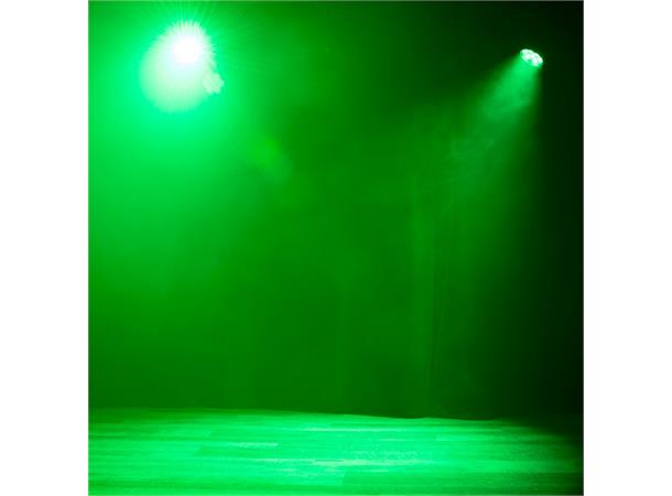 Focus Flex Compact, quick and punchy 