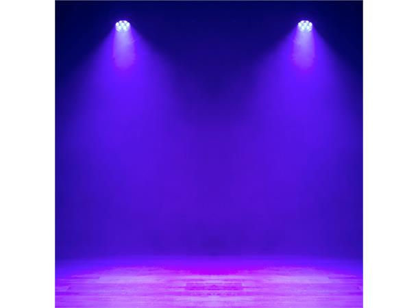 Focus Flex Compact, quick and punchy 