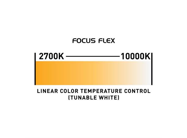 Focus Flex Compact, quick and punchy 