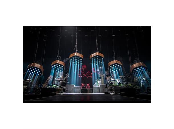 Rayzor 360Z Brilliant compact beam 