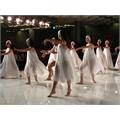 Harmony Gloss White Roll-out studio floor