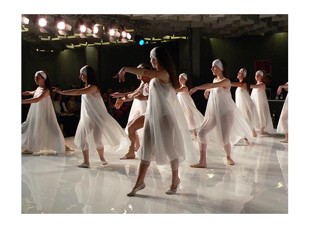 Harmony Gloss White Roll-out studio floor