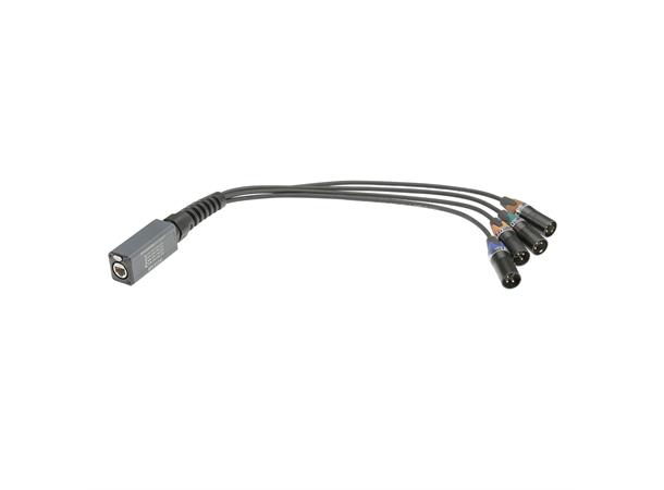 Ethercon split AES/DMX Adapter Ethercon CAT AES/DMX Adapter XLR3 mal 