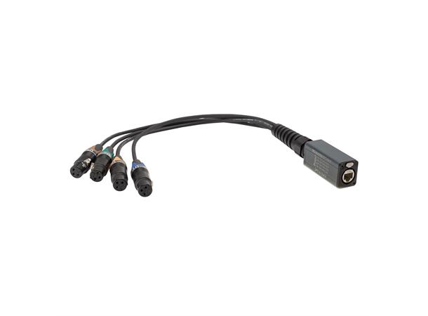 Ethercon split AES/DMX Adapter Ethercon CAT AES/DMX Adapter XLR fem