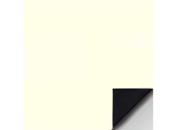 SCENE Front Projection Screen 