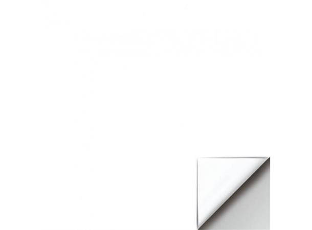 EVEN Front and Rear Projection 