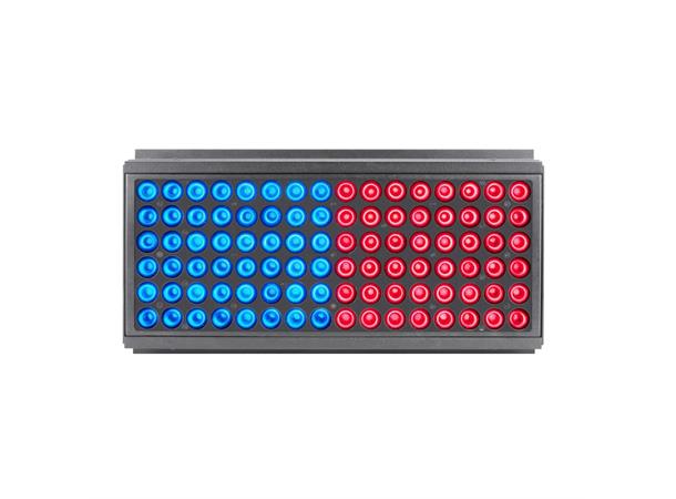 PROTRON ECLYPSE™ 1000W, 10W CREE RGBW 4-in-1 LEDs 