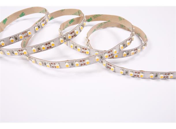 DecaLED Flex 120 leds/m 24V 5mtr 6500K 