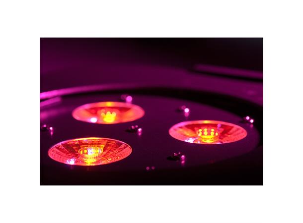 Ultra Hex Par3 3x 10-Watt , 6-IN-1 HEX LEDs 