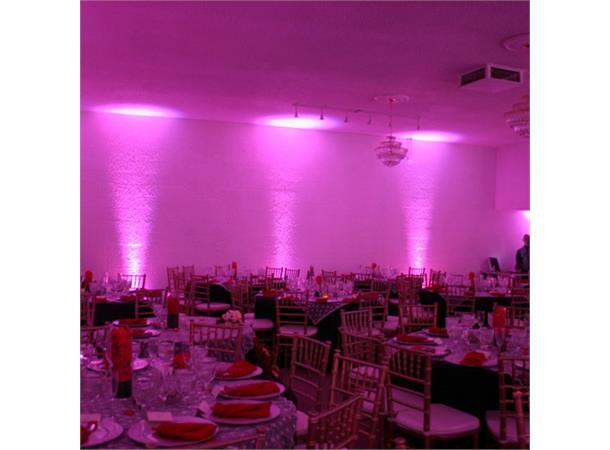 Mega TRIPAR Profile PLUS 5x 4-Watt, 4-N-1 RGB + UV LEDs 