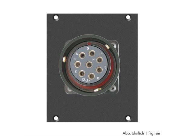 SYSBOXX-Modul 2HE 1TE 1xLK 8pol female Side panel module LK 8-pole f.CA-COM