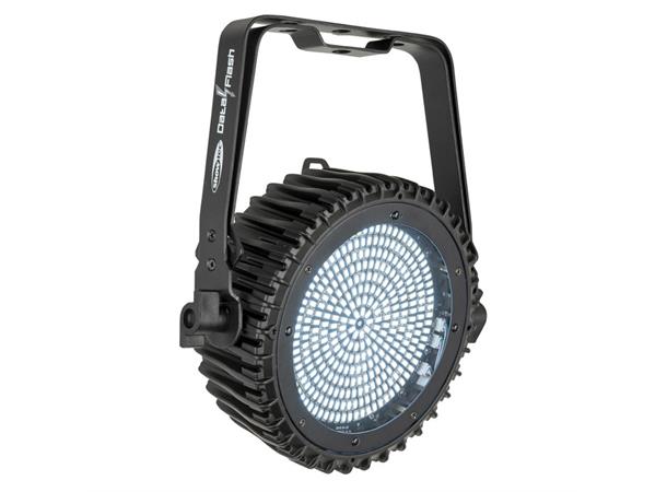 Showtec Data Flash Dynamic strobe effects
