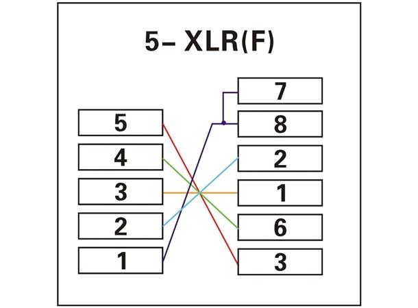 ACRJ455PFM RJ45 to 5 pin XLR Female 
