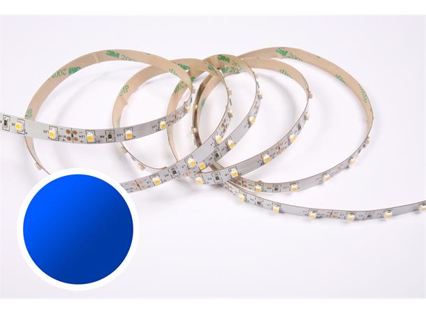 DecaLED Flex 60 leds/m 24V 5mtr Blue 