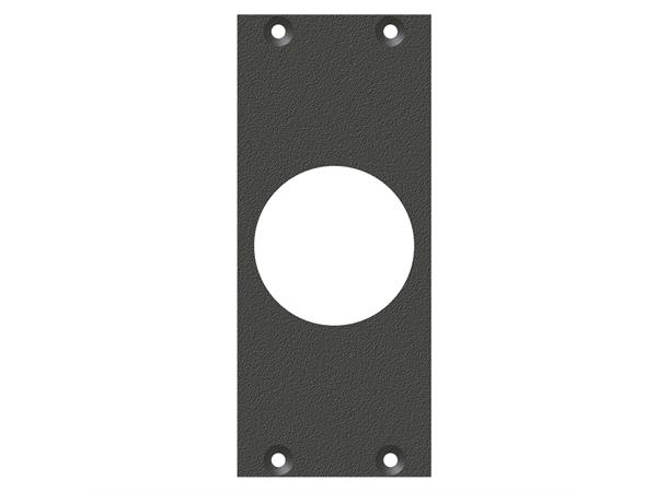 SYSBOXX-Front panel 2HE 1BE 1xPG21 front panel PG21-Hole