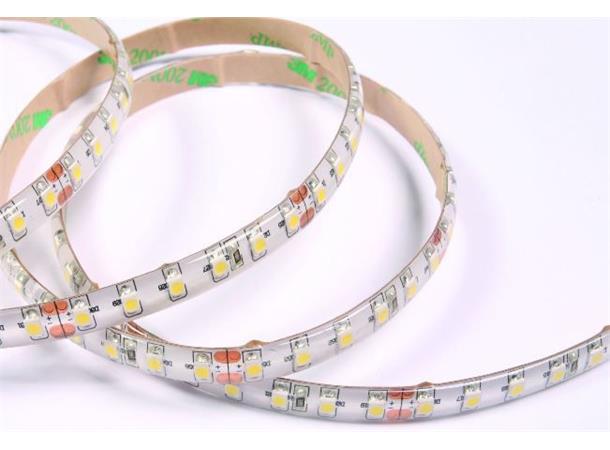 DecaLED Flex 120 leds/m 24V 5mtr 2200K IP65 CRI 90 2835led 