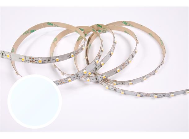 DecaLED Flex 60 leds/m 24V 5mtr 6500K 