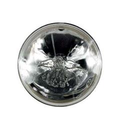 28.0V 250W PAR64 ACL CN Screw Terminals 40576 4552