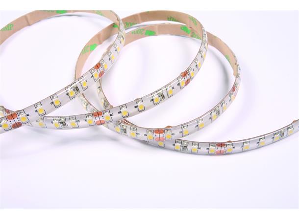 DecaLED EcoFlex 120 leds/m 24V 5mtr 6000K 