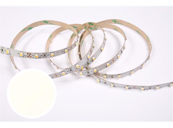 DecaLED Flex 60 leds/m 24V 5mtr 4300K 