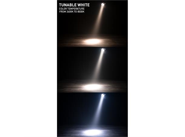 Encore FR Pro Color Red, Green, Blue, Amber, Lime and Cyan 