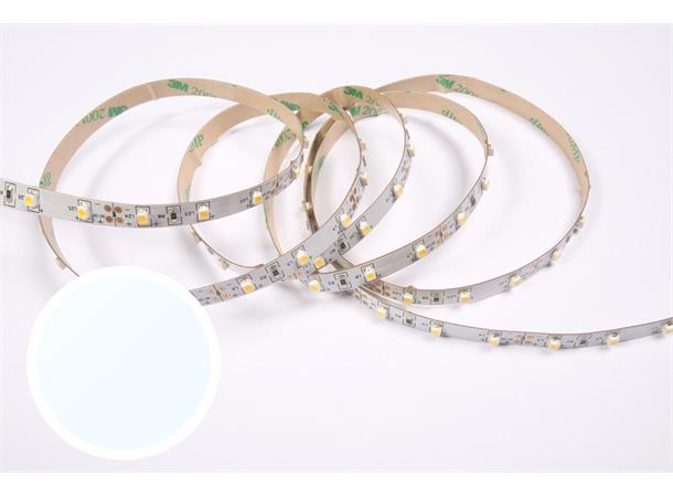 DecaLED Flex 60 leds/m 24V 5mtr 4800K 