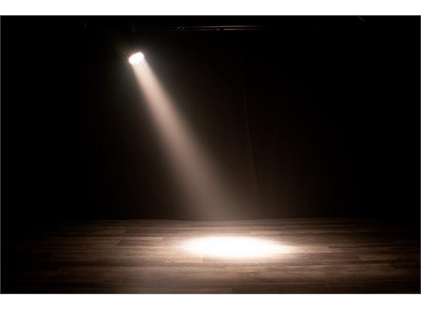 Encore LP12 IP Heavy duty Par 12 20W Quad LEDs 