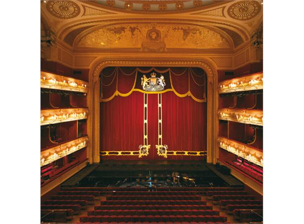 ASCONA 570 gold B1 Scenefløyel i bomull 